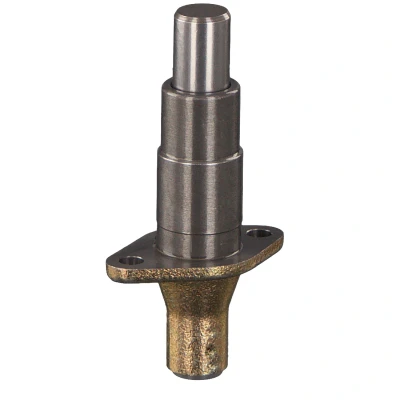 Afbeelding van Febi Bilstein Distributieketting spanner 30548