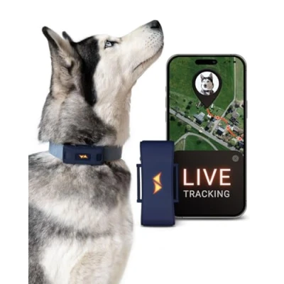 Afbeelding van PAJ GPS tracker voor honden 4G Wegloopalarmen + Wereldwijde live tracking Tot 10 dagen batterijbesparingsmodus Hond terugroepen Met verlichte LED&#039;s Past op elke halsband Blauw