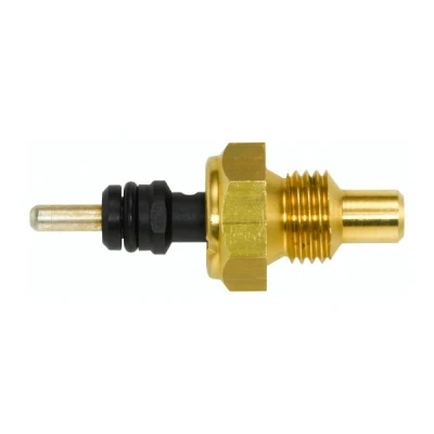 Afbeelding van Hella Temperatuursensor 6PT 013 113 021