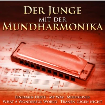 Afbeelding van Der Junge Mit Mundharmonika