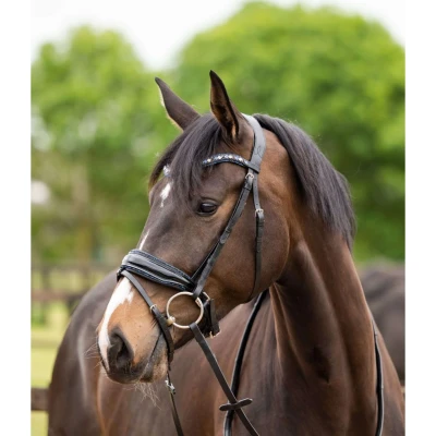 Afbeelding van HB Showtime Hoofdstel Las Vegas Zwart/Navy Glitter Cob Agradi.be