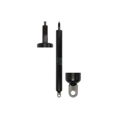 Afbeelding van STABILUS 0873LF Gasveer achterklep Zonder spoiler Kofferruimtedeksel