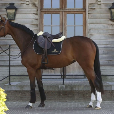 Afbeelding van Kentucky Horsewear Zadeldek FULL Zwart Springen