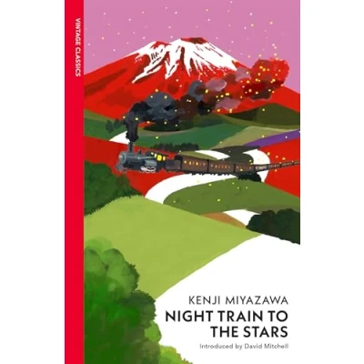 Afbeelding van Night Train to the Stars