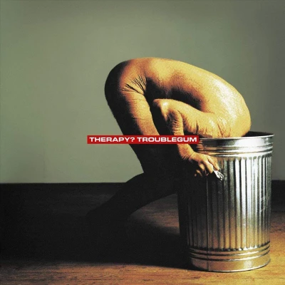 Afbeelding van Troublegum (LP)