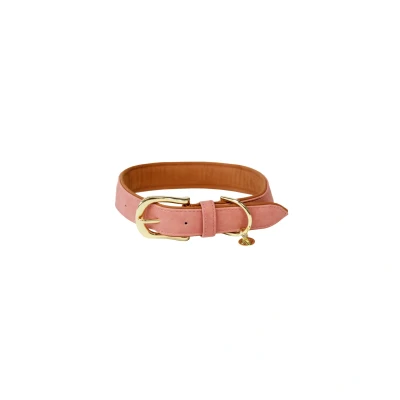 Image de Kentucky Collier pour Chien Soft Vegan Leather Peach/Marron 71cm