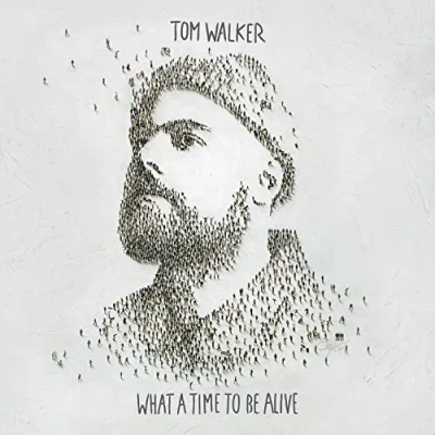 Afbeelding van Tom Walker What a Time To Be Alive (LP)