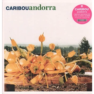 Afbeelding van Caribou Andorra (LP)