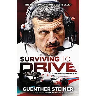 Afbeelding van Surviving to Drive