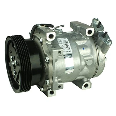 Afbeelding van DELPHI TSP0159853 AC Compressor Sanden SD7V16 PAG 46 Met compressorolie RENAULT: Kangoo I Express