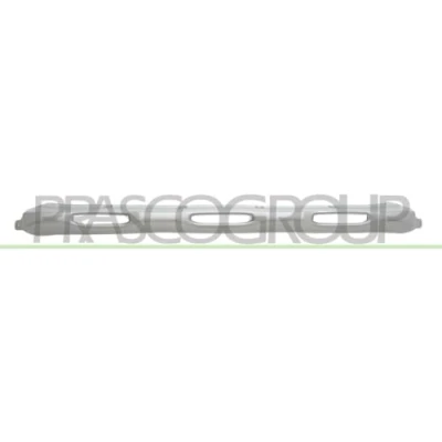 Afbeelding van PRASCO DA7341245 Sier / beschermingspaneel, bumper Voor