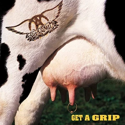 Afbeelding van Aerosmith Get A Grip