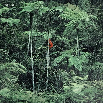 Afbeelding van Spice (LP)