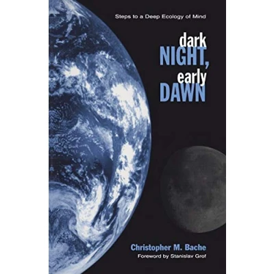 Afbeelding van Dark Night Early Dawn