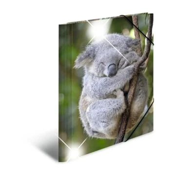 Image de HERMA 19323 Classeur A4 en plastique solide avec effet brillant et rabats intérieurs imprimés Motif koala