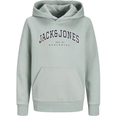 Afbeelding van JACK&amp;JONES JUNIOR JJECALEB VARSITY SWEAT HOOD NOOS JNR Jongens Trui Iceberg Green Loose