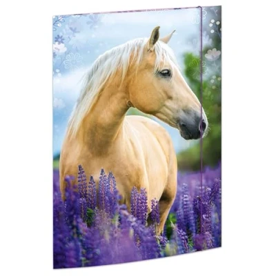 Afbeelding van RNK 45381 Documentenmap voor DIN A3 paardendroom 310 x 440 mm met elastische sluiting 1 stuk