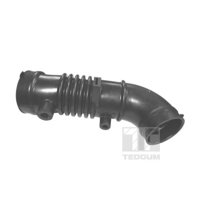 Afbeelding van Tedgum Inlaatslang /pijp luchtfilter 00396364