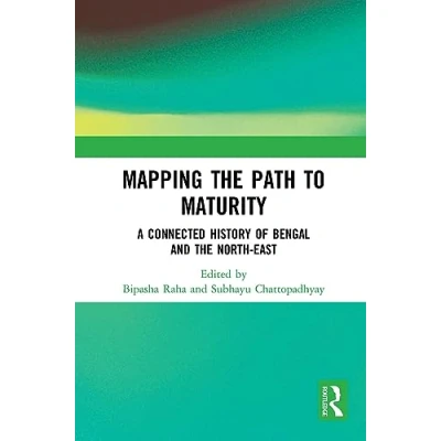 Afbeelding van Mapping the Path to Maturity