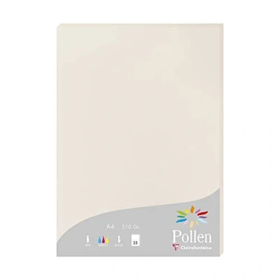 Image de Etui de 25 feuilles Pollen A4 Gris Perle 210g