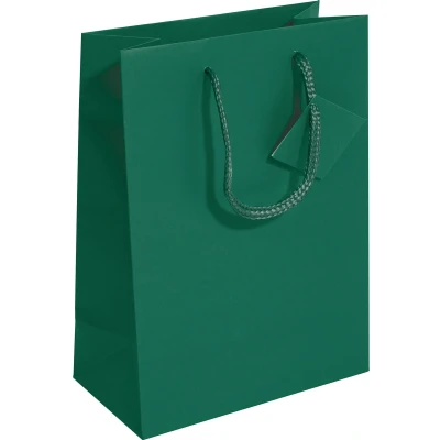 Afbeelding van Sigel cadeautas klein 170x230x90 mm opaal groen SI GT501