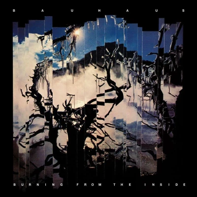 Afbeelding van Burning From The Inside (Coloured Vinyl)