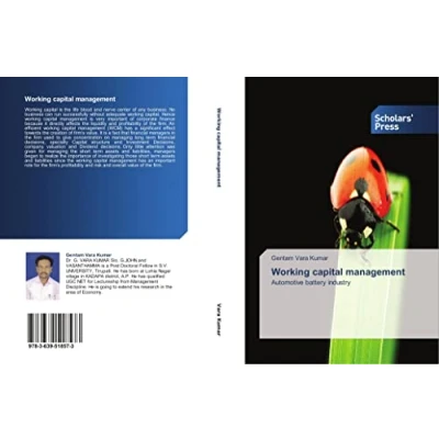 Afbeelding van Working Capital Management