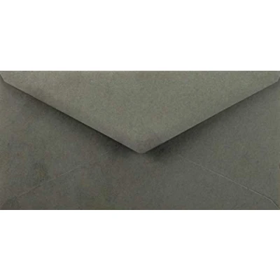 Afbeelding van Netuno 100 lange enveloppen grijs DL 110 x 220 mm 115 g Sirio Color Pietra gekleurde decoratieve voor brieven uitnodigingen bruiloft Kerstmis wenskaarten documenten