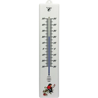 Afbeelding van Talen Tools Thermometer Kunststof 32 cm