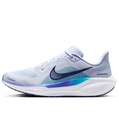Afbeelding van Nike Performance Pegasus Sportieve wandelschoenen, Heren, Maat: 44.5, Ghost blue void football grey deep night Textiel