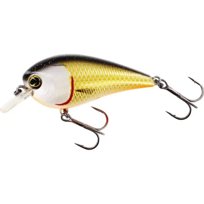 Afbeelding van Westin Bassbite 1.5 Squarebill 6cm 13g Floating Kleur : Official Roach