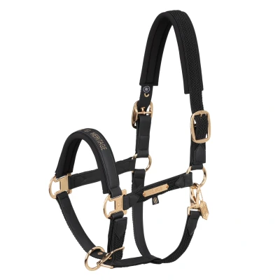 Image de Eskadron Licol Heritage Faux Leather Plait Noir
