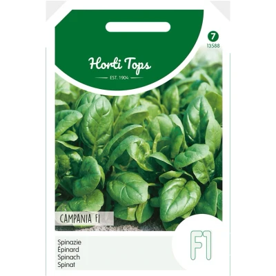 Afbeelding van Spinazie Campania F1 50 gram Tuinplus