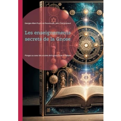Afbeelding van Les enseignements secrets de la Gnose