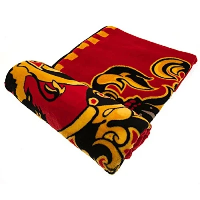 Afbeelding van Fleece deken Harry Potter 120x150cm