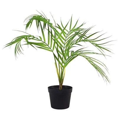 Afbeelding van Leaf Design UK Kunstplant met palmpot, 50 cm