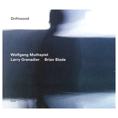 Afbeelding van Wolfgang Muthspiel &amp; Larry Grenadier Driftwood (CD)