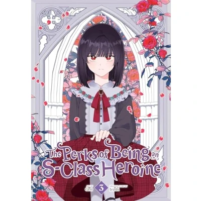 Afbeelding van Perks of Being an S Class HEROINE GN The Heroine, Vol. 3