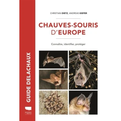 Image de Chauves souris d&#039;Europe