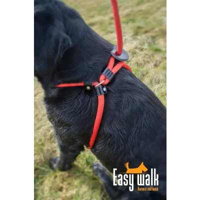Afbeelding van Agradi Easy Walk Mini Handmodel Rood 210cm