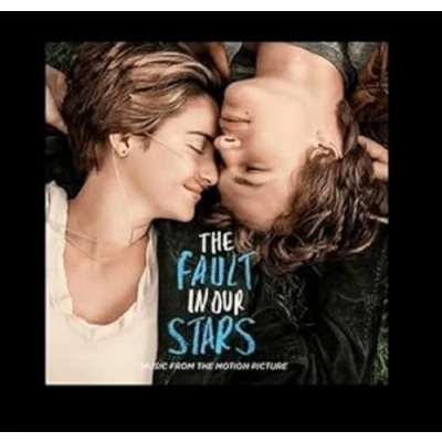 Afbeelding van V/A The Fault In Our Stars (2 LPs)