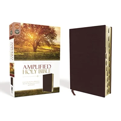 Afbeelding van Amplified Holy Bible, Bonded Leather, Burgundy, Thumb Indexed