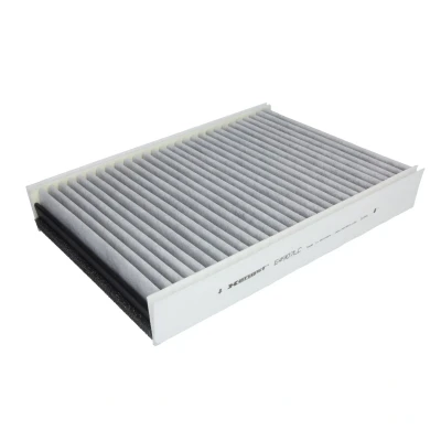 Afbeelding van HENGST filter E4907LC Interieurfilter Carbon 297 202 45 JAGUAR: XJ Saloon