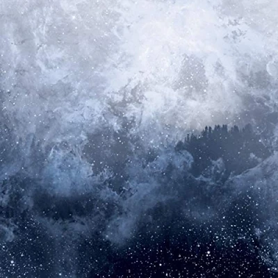 Afbeelding van Wolves In The Throne Room Celestite (CD)