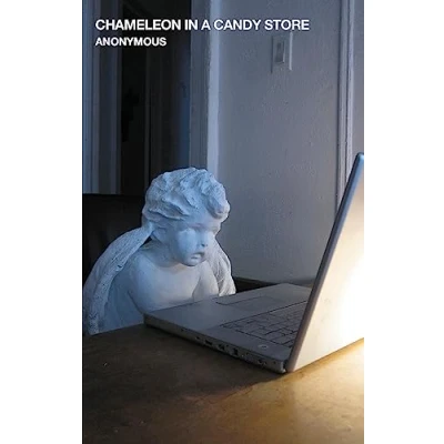 Afbeelding van Chameleon in a Candy Store