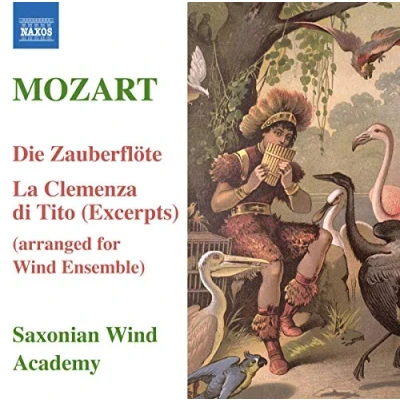 Afbeelding van Saxonian Wind Academy Arrangements For Ensemble (CD)