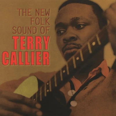 Afbeelding van Terry Callier The New Folk Sound of (LP)