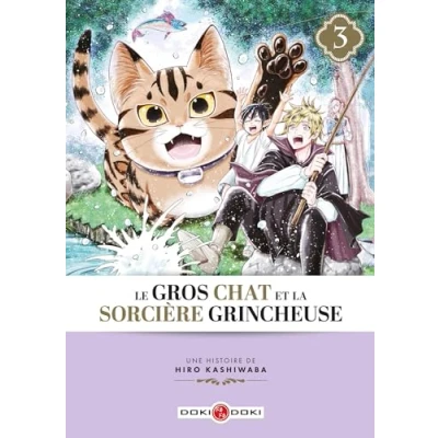 Afbeelding van LE GROS CHAT ET LA SORCIERE GRINCHEUSE,03