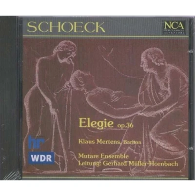 Afbeelding van Elegie Opus 36