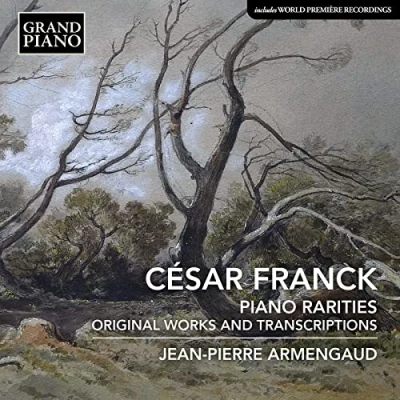 Afbeelding van Jean Pierre Armengaud Franck: Piano Rarities, Original Works And Transcriptions (CD)